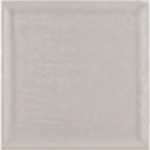 Brillo Shiny Topo 22.3x22.3