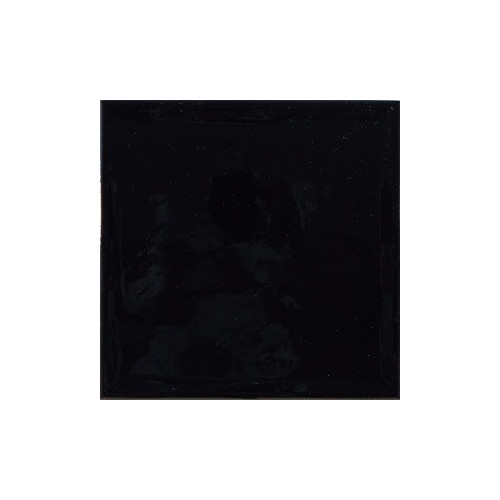 Brillo Shiny Black 22.3x22.3