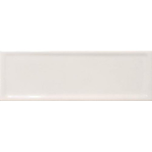 Pasta Blanca Titan White 10x30