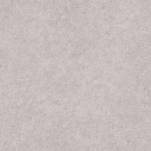 Porcelanico Granite Grey 120x120