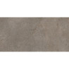 Saten Shins Pardo 60x120