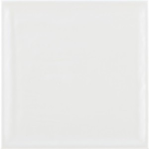 Brillo Shiny White 22.3x22.3