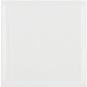 Brillo Shiny White 22.3x22.3