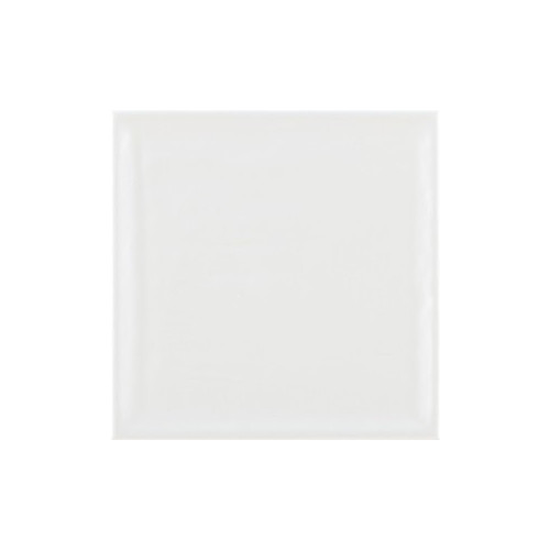 Brillo Shiny White 22.3x22.3