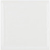 Brillo Shiny White 22.3x22.3