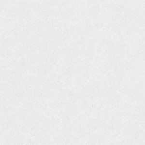 Porcelanico Granite White 120x120