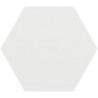 Brillo Shiny White Hexagonal 19.8x22.8