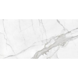 Porcelanico Statuario Mate 60x120