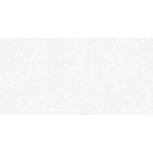 Porcelanico Granite White C2 60x120