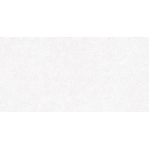 Porcelanico Granite White 60x120