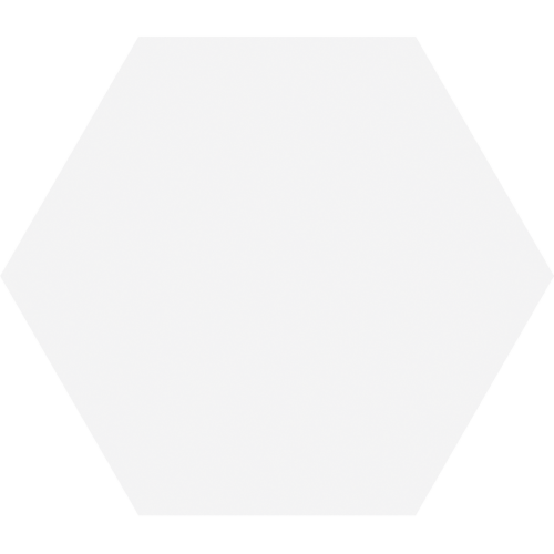 Porcelanico Timeless White Mate Hex 15x17