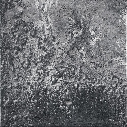 Porcelanico Beach Black Brillo 15x15