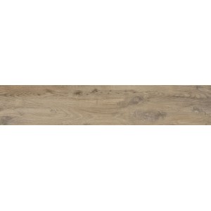 Porcelanico Nebraska Elm 23x120