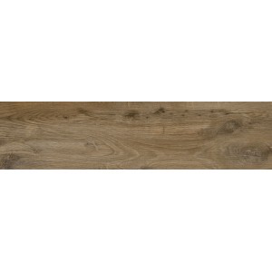 Porcelanico Nebraska Oak 20x80