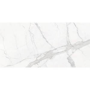 Mate Statuario Mate 120x280