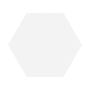 Porcelanico Timeless White Mate Hex 15x17