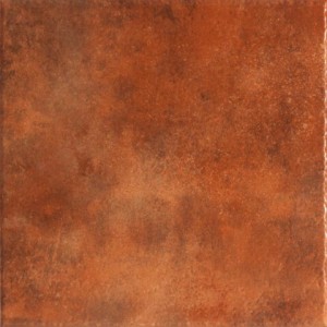 Pasta Roja Leon Terra 45x45