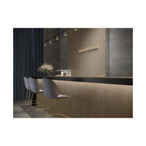 Dassel Walnut   40x120