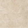 Porcelanico Crema Marfil Mate 60x60
