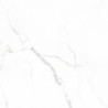 Mate Statuario Mate 75x75