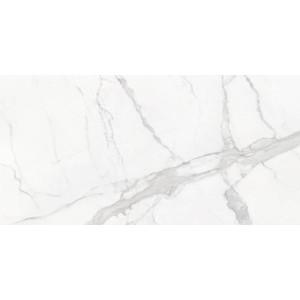 Mate Statuario Mate 120x280