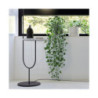 Blanco Brillo Cifre 20x20