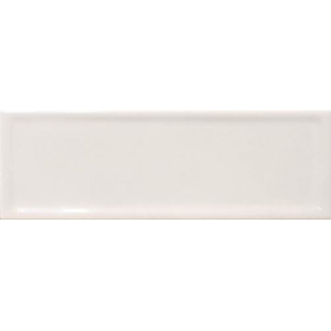 Pasta Blanca Titan White 10x30