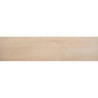 Porcelanico Bavaro Natural 22