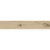 Porcelanico Camden Honey  25x150