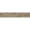 Porcelanico Lorien Amber  20x120