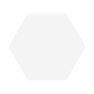 Porcelanico Timeless White Mate Hex 15x17