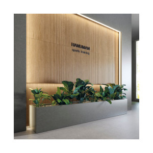 Acron Antracita  30x60