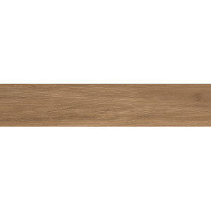 Alessandria Camel Anti 20x120